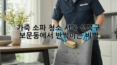 가죽 소파 청소, 서울 성북구 보문동에서 ✨반짝이는✨ 비법!